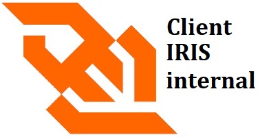 IRIS internal WebSocket Client