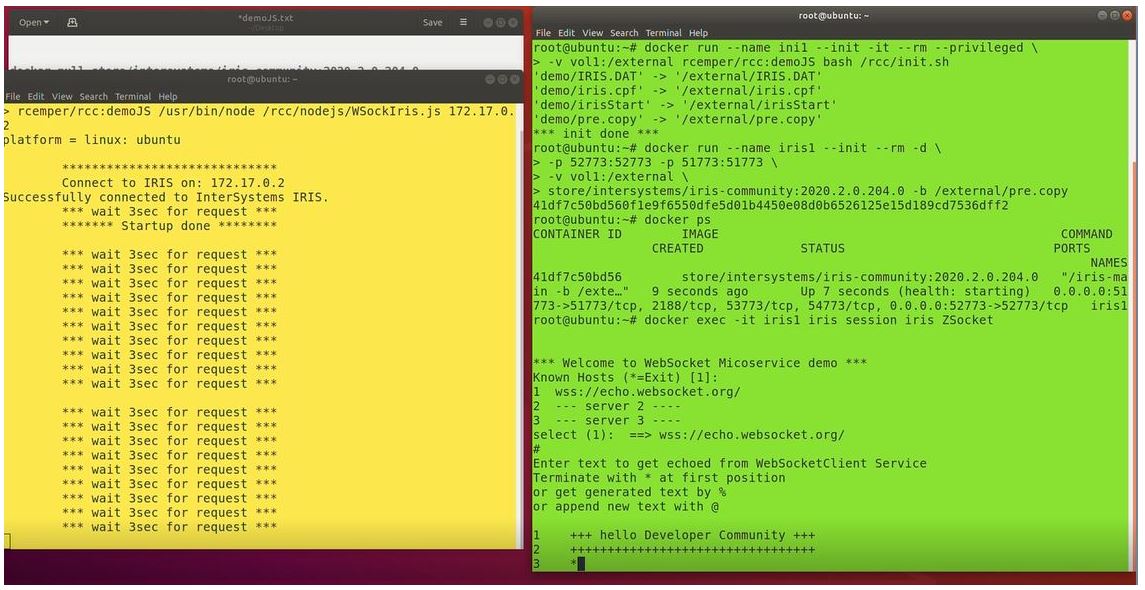 WebSocket Client JS with IRIS Native API as Docker Micro Server